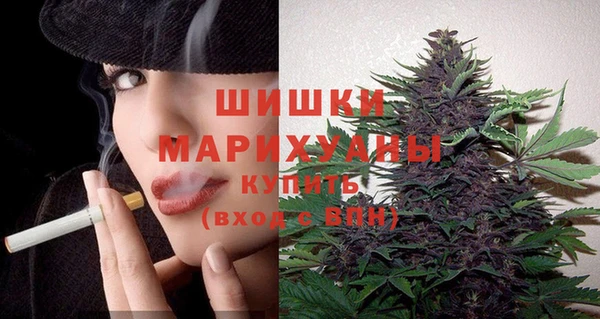 эйфоретик Краснослободск