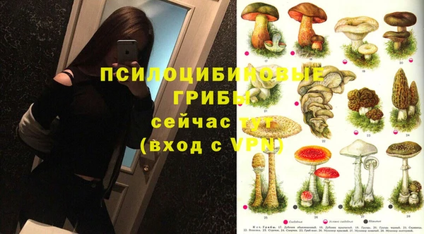 таблы Корсаков