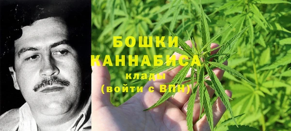 прущие крисы Костерёво