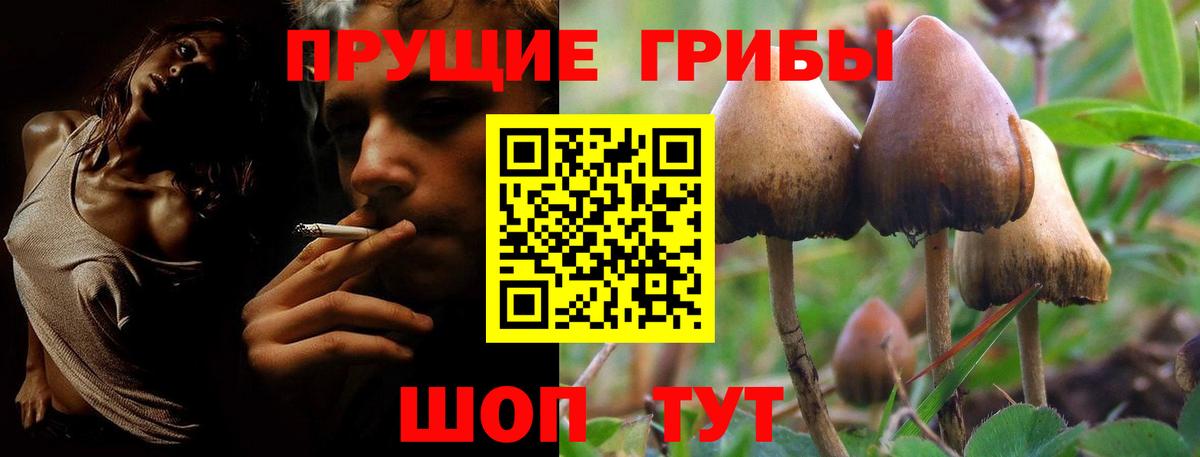 Псилоцибиновые грибы GOLDEN TEACHER  Псилоцибиновые грибы Magic Shrooms  Вход с VPN  Кохма 