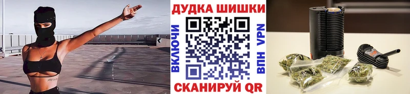 Бошки Шишки сатива Кохма